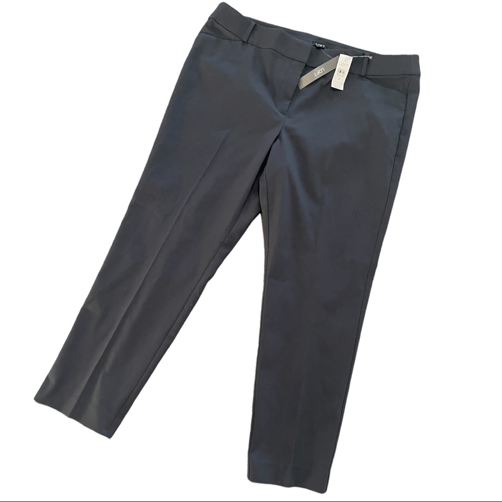 NWT Loft Sz 18 Skinny Julie Pants
